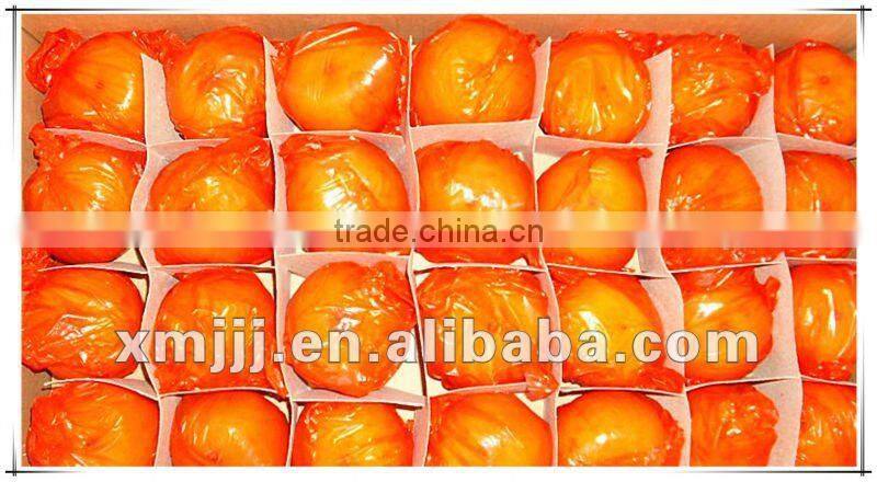 new harvested yongchun fresh mandarin orange