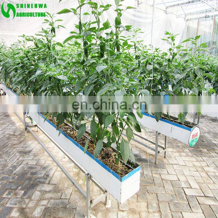 Eggplant Hydroponics and Coconut Cultivation Equipment/Hydroponics Growing Systems