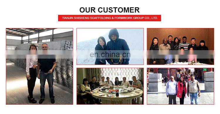 Tianjin Shisheng Group Adjustable Heavy Duty Telescopic Formwork Construction Scaffolding Shoring Prop
