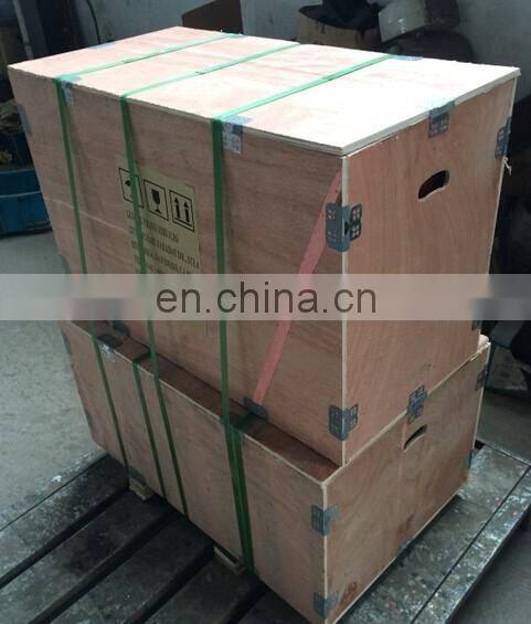 G series 30W air ventilation for YVP motor