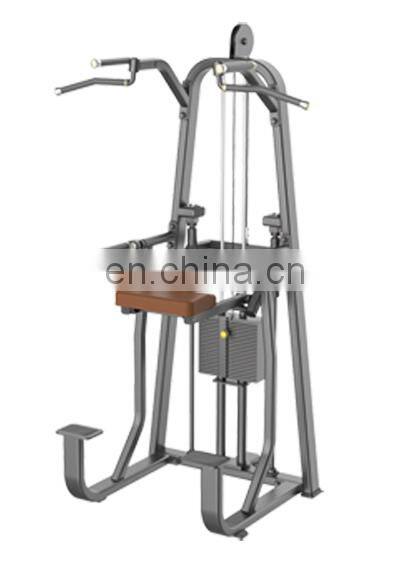 Dip Chin Assist With LZX-1009 /Commercial Fitness Equipment Strength Machine