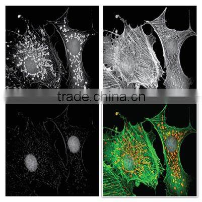 ToupView for ToupCam Camera
