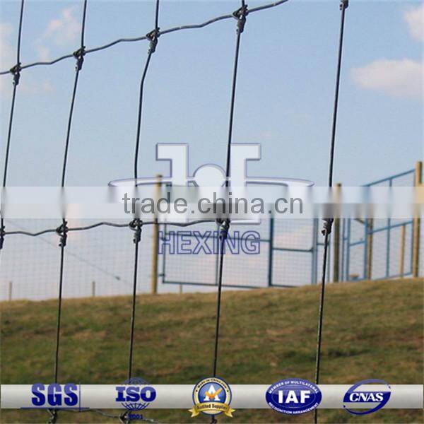 Galvanized Ranch Fence| Pasture Fence| Grassland Fence