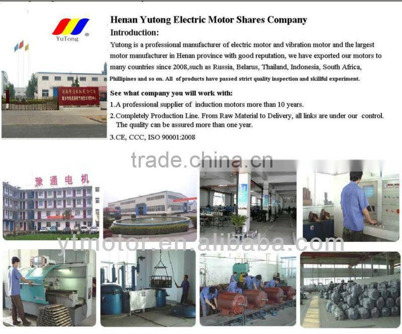 IE2/IE3 high efficiency high speed Asynchronous Motor