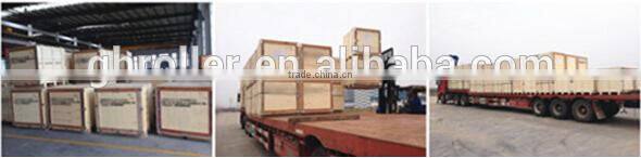 conveyor roller bearing housing and labyrinth seals for DTll6204