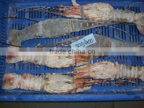 FROZEN RAW LOBSTER WHOLE