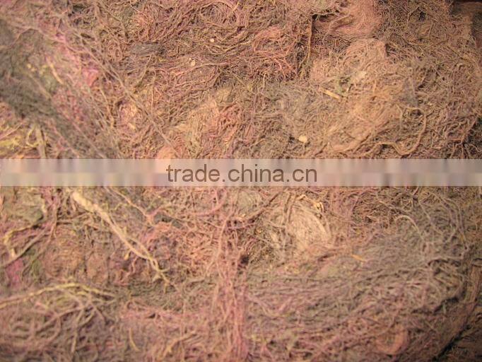 GRACILARIA SEAWEED WITH BEST PRICE AND PREMIUM QUALITY!