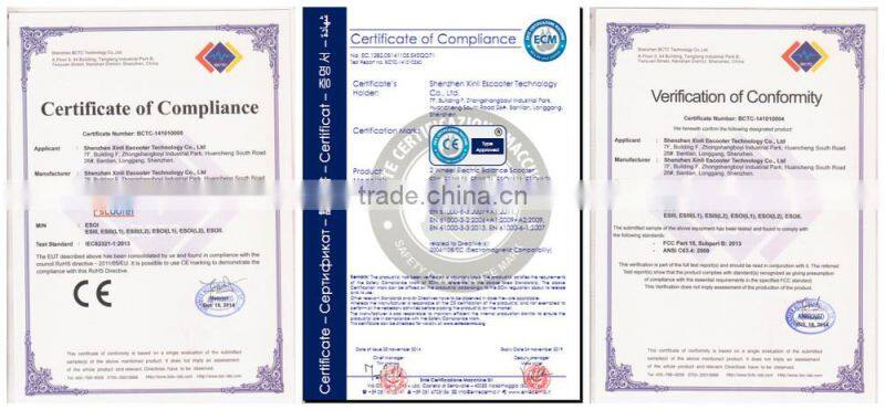 2015 Off-road 2 wheel stand up electric scooter self balancing scooter