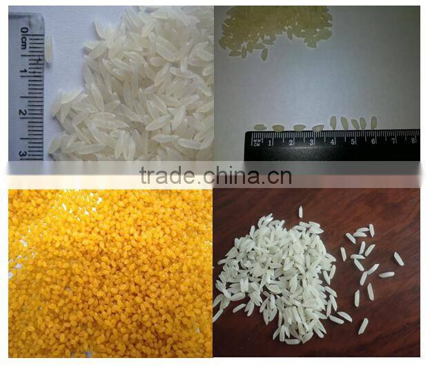 Factory Direct Supplier Nutritional Artificial Rice Machine/Line/Equipment/Plant