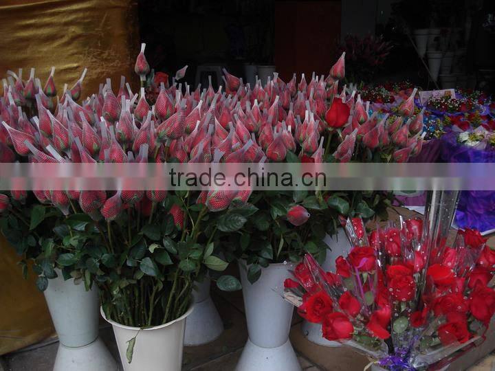 Flexible PE roses protection packaging sleeve netting