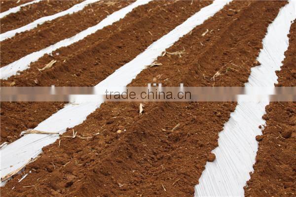 Cost-effetive combine sugarcane machine for 2 rows seed planting factory manufacturing sugarcane planter for sale