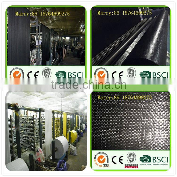 black pp woven ground cover