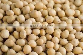 Food Grade Soy Bean Oil