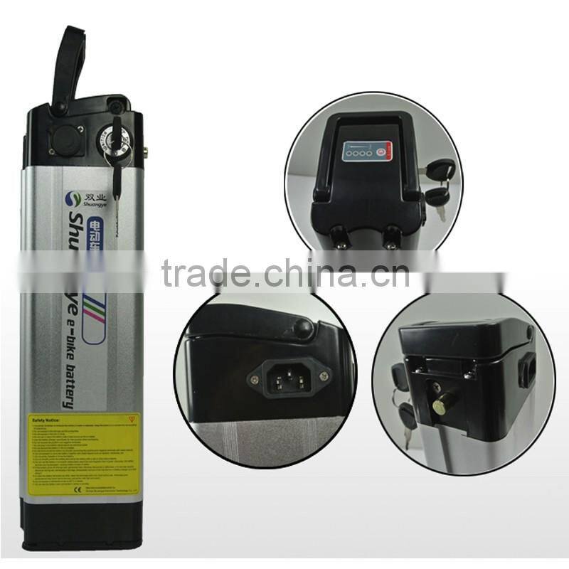 Chinese 48v 1000w electric bike battery price