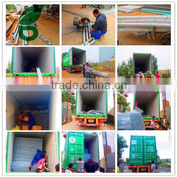 Galvanized battery quail cage for