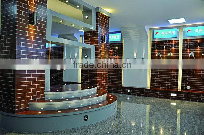 LED spike light ,tree decorative light