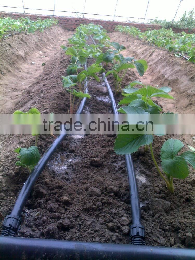 Cheap pe irrigation pipe for agricultural greenhouse