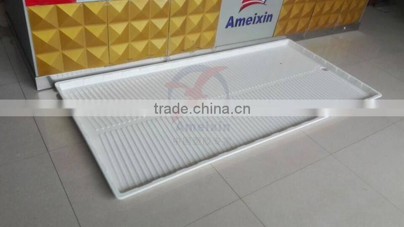 Thermoforming Plastic Trays