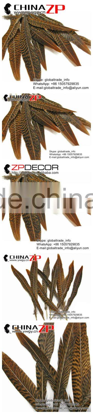 ZPDECOR Factory Wholesale Leading Selling Natural 15cm-20cm Golden Pheasant Tail Feathers for Carnivals