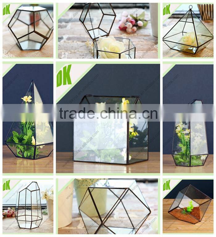 //Materials: terrarium, air plant, hanger, borosilicate, glass, airplant,//glass water drop decoration