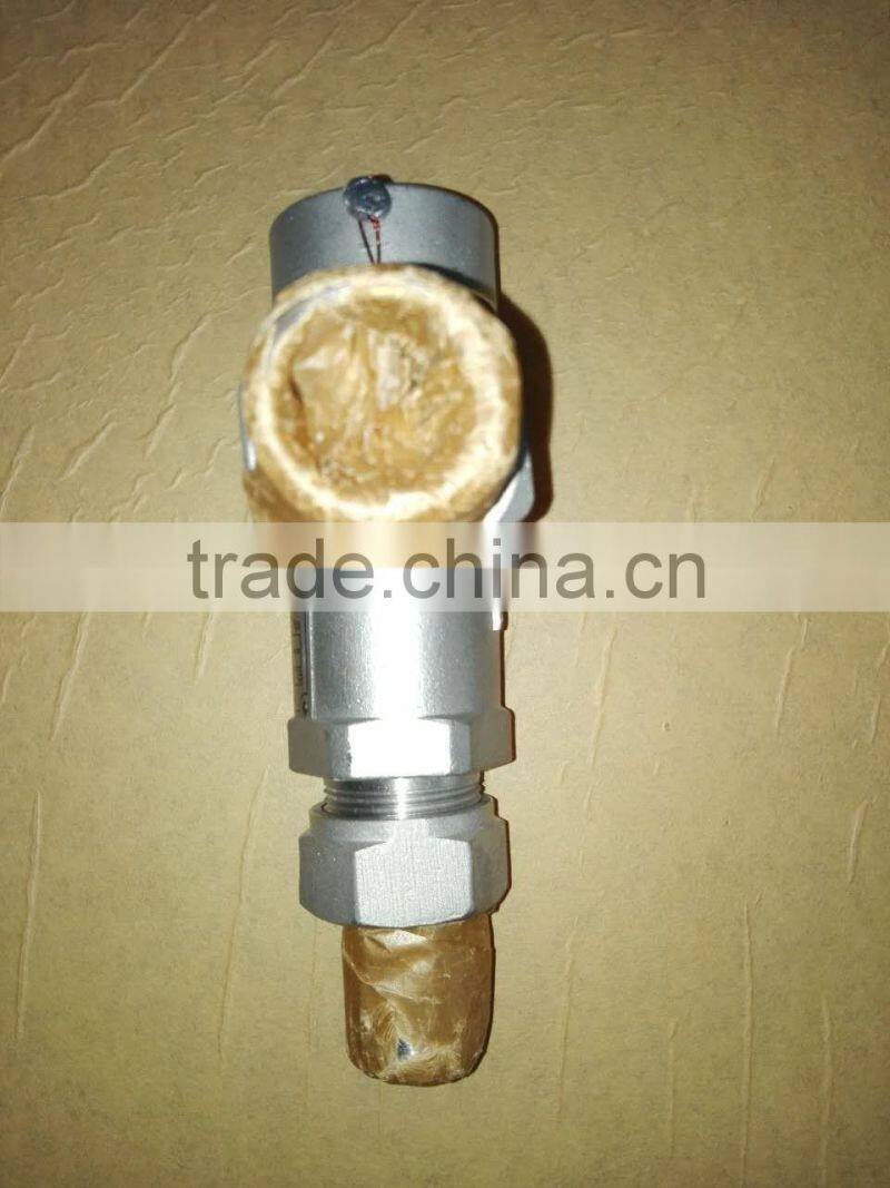 DN25 2.27MPa Safety Valve