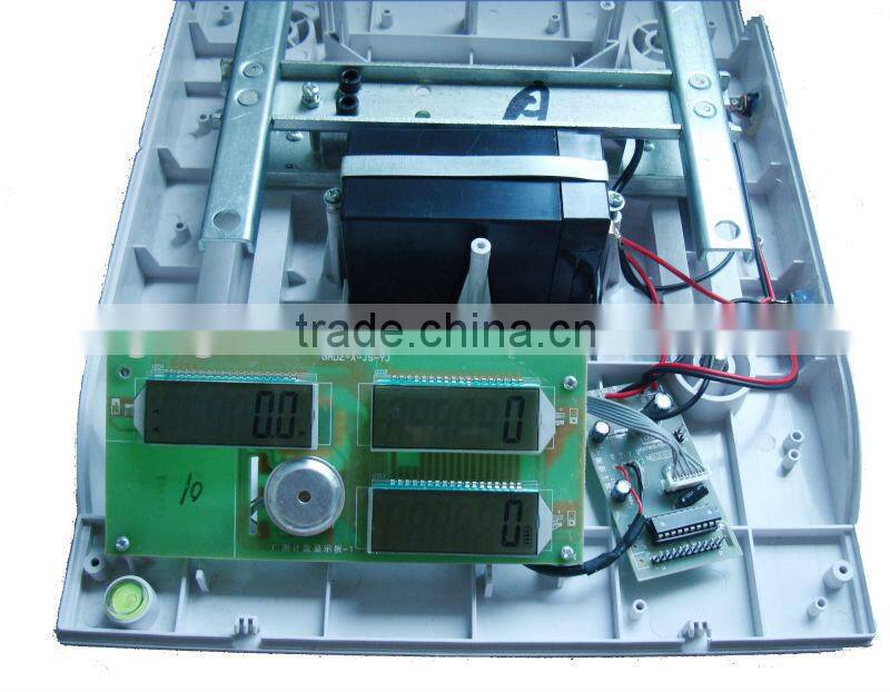 2016 new fashion design Electronic Price computer Scale with stainless steel pan OEM ODM