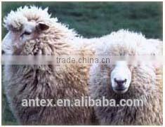 100% polyester fiber BALL Hollow Fiber