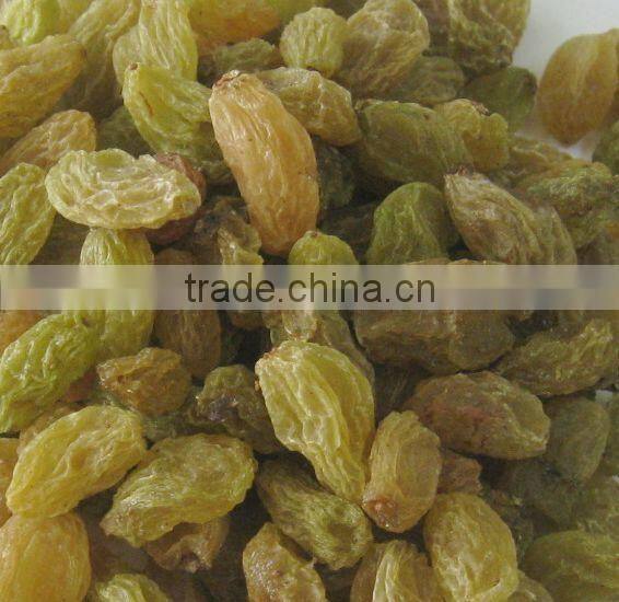best price red raisin from China