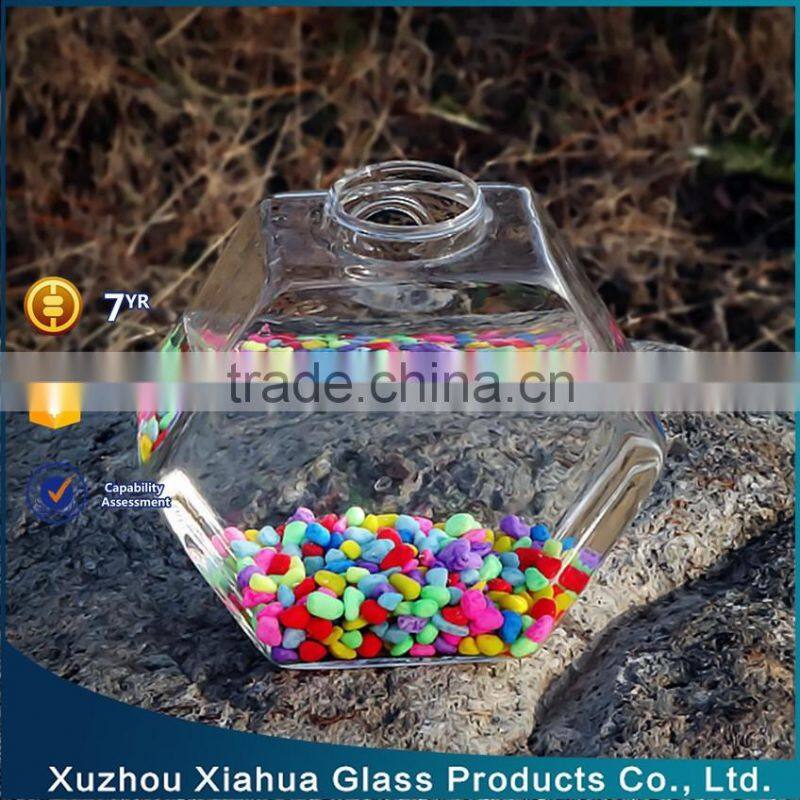 hexagon hanging glass terrarium