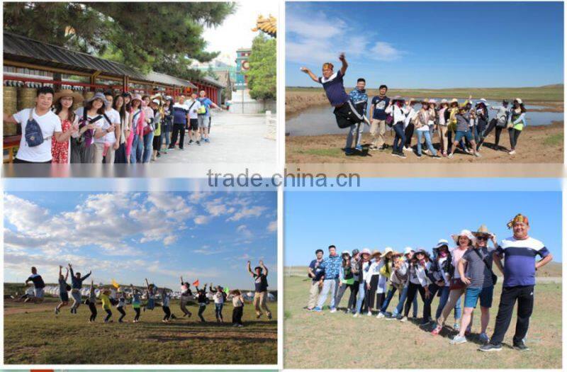 soy milk packaging machine/fresh milk plastic bags sealing machine