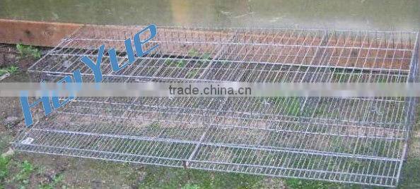 Quail battery cages for sale