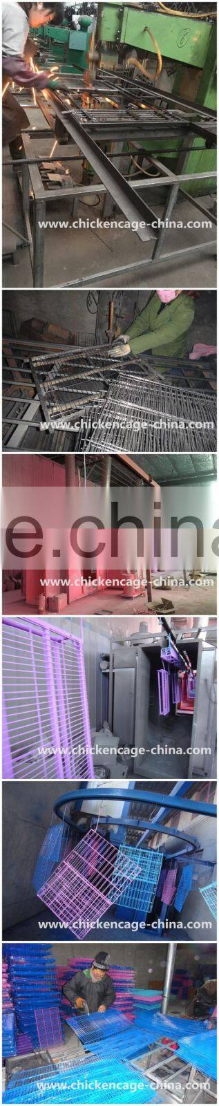 Pet Display Cage, Pet Show Cage