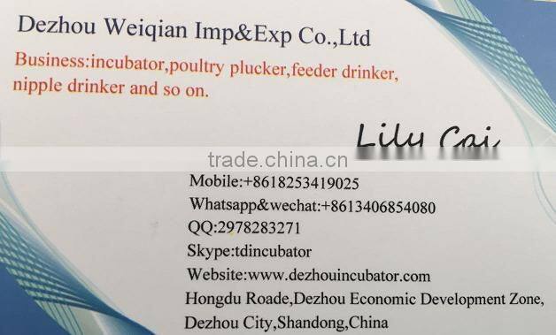 Cheap price and high quality Automatic pigeon feeder,plastic pigeon feeder,pigeon trough feeder