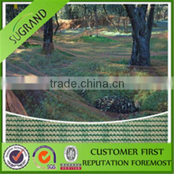 HDPE Agriculture Fruit/Olive Net/Harvest Nets/Collection/Collecting Net