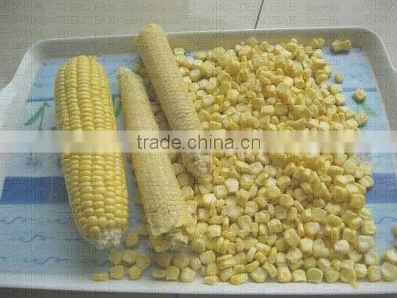 MZ-368 waxy corn cutter