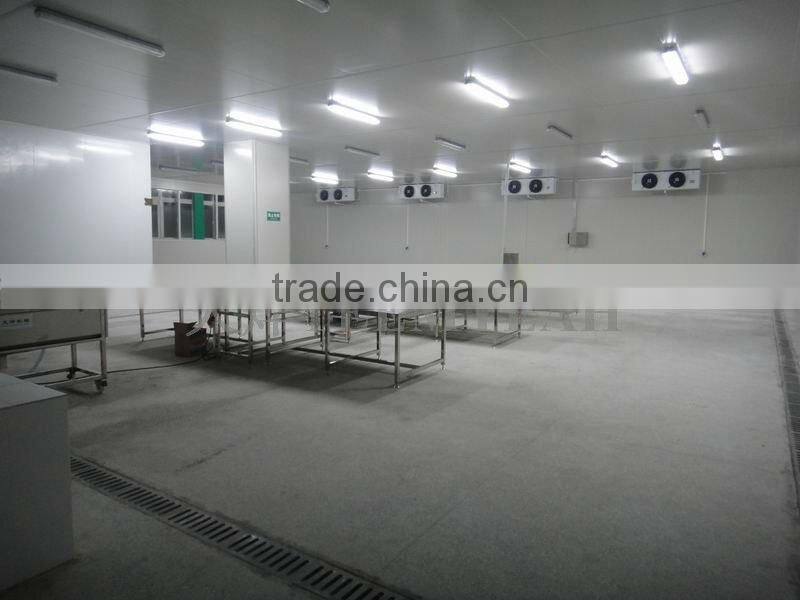 Zhuhai vegetables processing and distribution center for Hong Kong and Macao