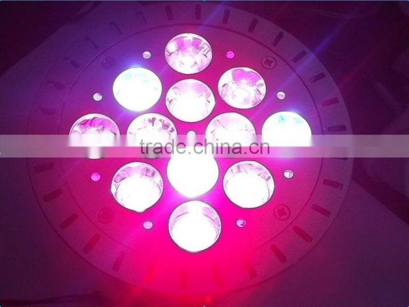 Wholesale 12W E27 led grow light bulb for garden in multiple color ratio