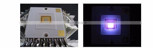 Shenzhen 10w-100w light source,UV led chip