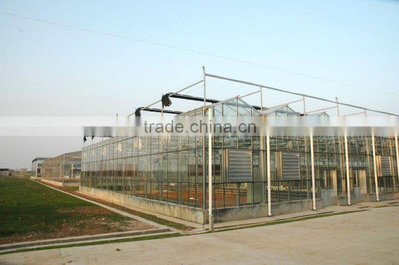 Low Cost Glass Covering Agricultural Greenhose
