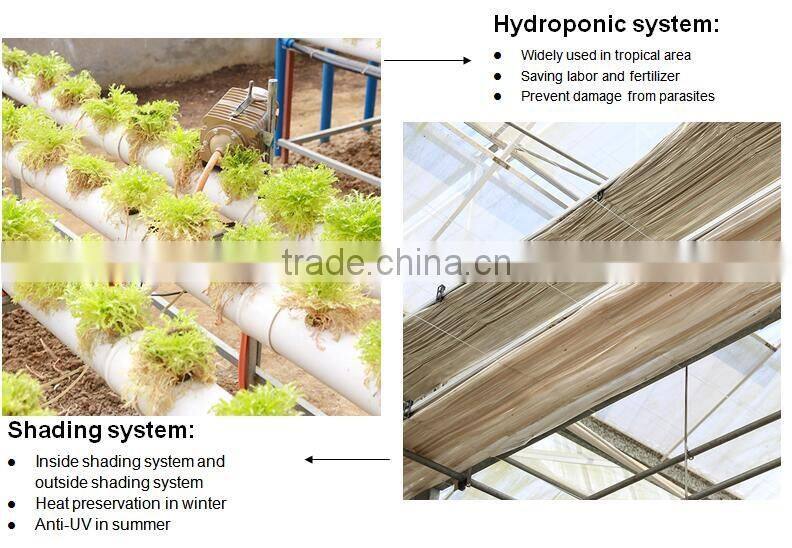 PC Sheet Cover Material and Multi-Span Commercial Greenhouses for Agriculture for Sale