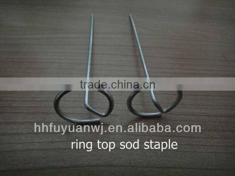 sod staple