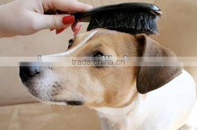 Wooden dog pet pin brush