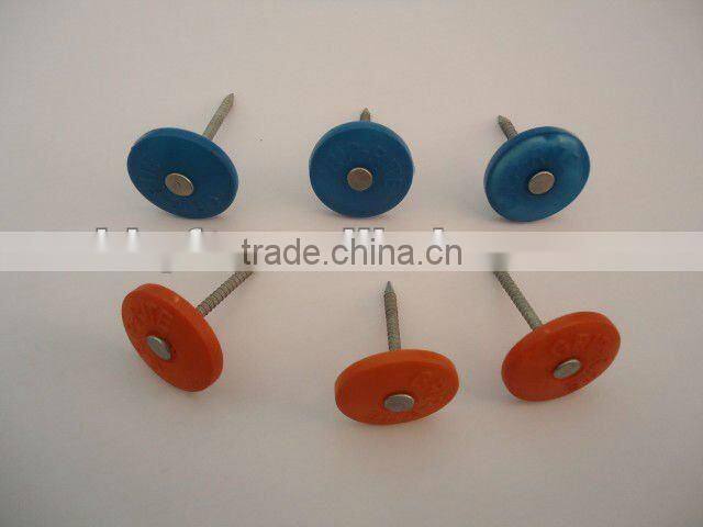 plastic cap nail china supplier on hot sale
