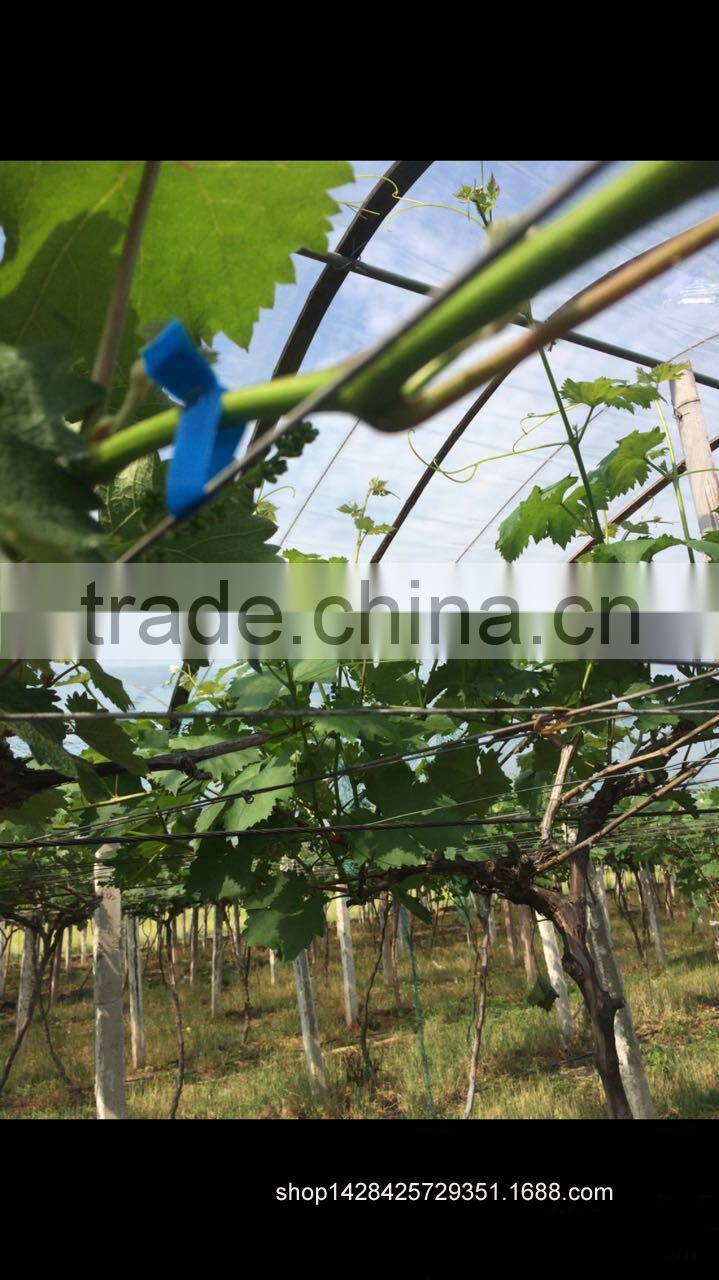 no scrap tape bander ,hand tying machine,wire galvanized, Wireless Vineyard, Vineyard