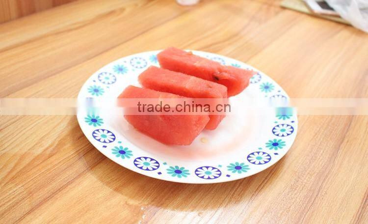 Stainless Steel Watermelon Slicer and Server set