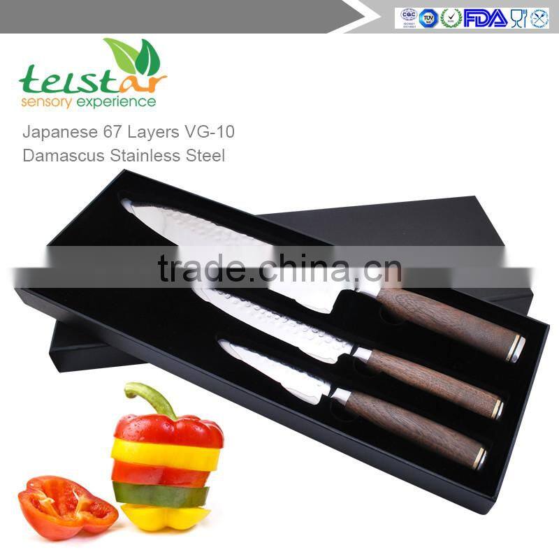 Japanese VG-10 Core and 67 Layer Damascus Steel Professional kitchen knife 3-Piece