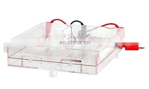 CA-SYS Cellulose acetate film (CAF) electrophoresis