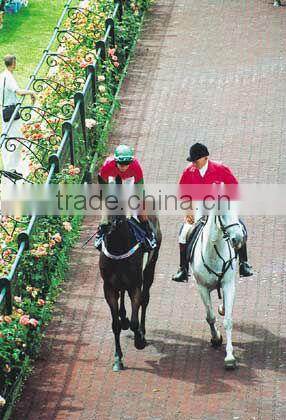 EMEI dog-bone driveway rubber paver