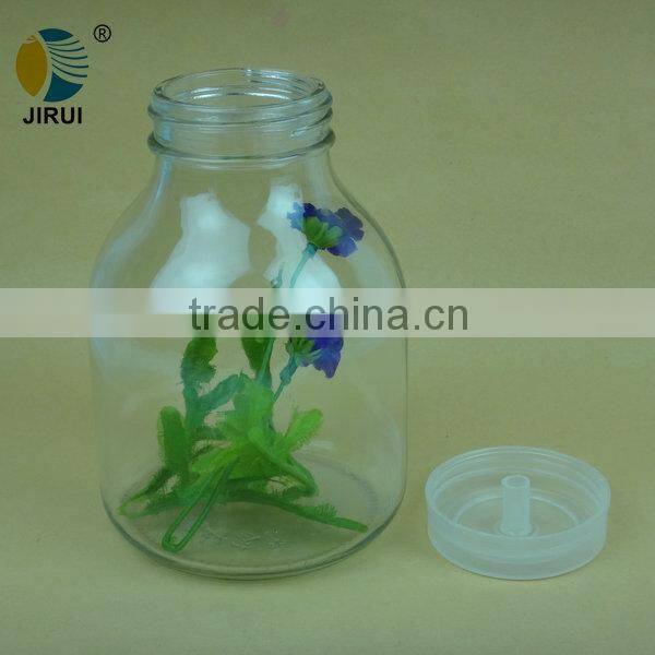 600ml plant tissue culture glass jar with plastic cap