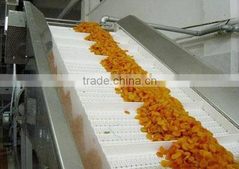 Adjustable speed vegetable belt conveyor price